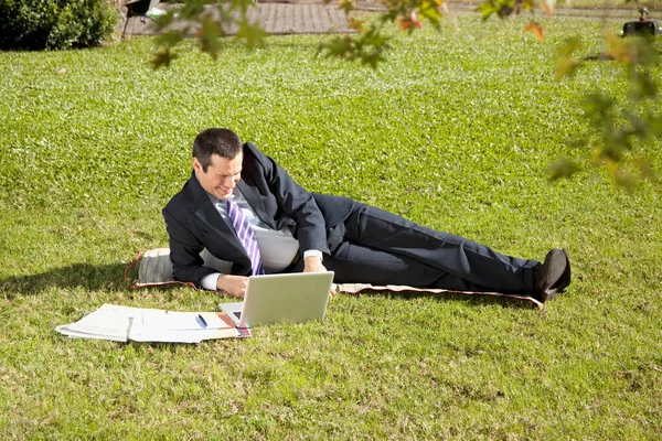 Businessman Sitting Grass Working Laptop — Stock Photo, Image
