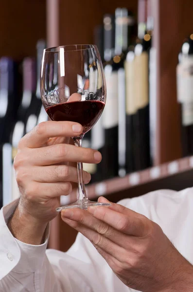 Cropped View Man Holding Wine Glass Red Grapes — Stock Photo, Image