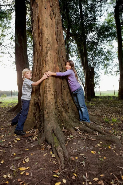 Zwei Junge Frauen Spielen Mit Einem Kind Wald — Stockfoto