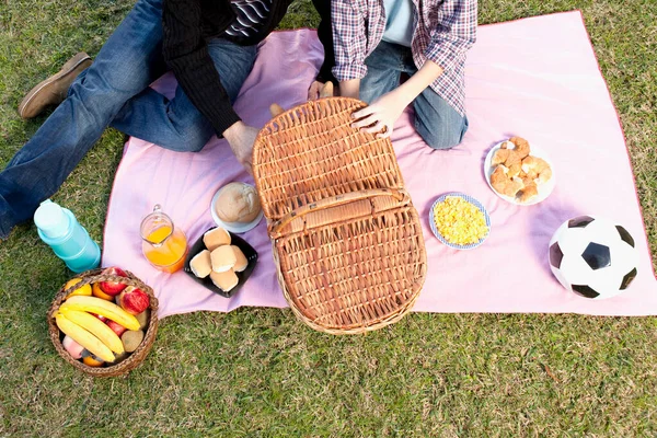 Jong Stel Een Picknick Met Een Deken Een Mand Bier — Stockfoto