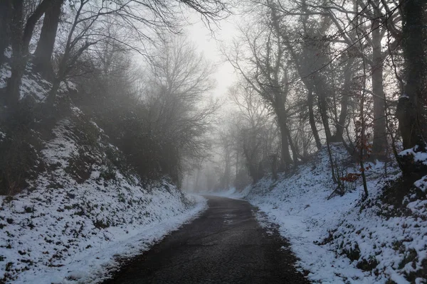 冬の孤独な道 霧深い朝の雪の木の間 — ストック写真