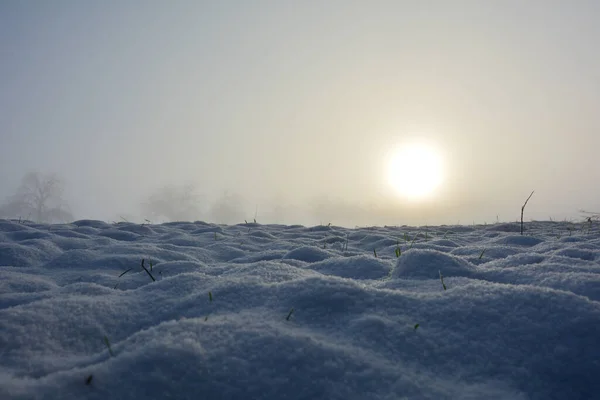 Χιόνι Καλύπτονται Τομέα Λευκή Άμμο — Φωτογραφία Αρχείου