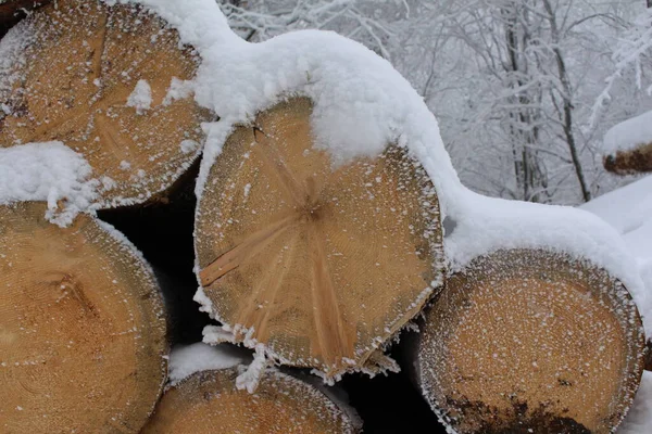 Snow Covered Firewood — Stock Photo, Image
