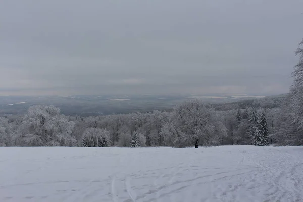 Paisagem Inverno Com Árvores Cobertas Neve — Fotografia de Stock