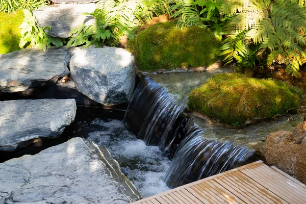 Belle Cascade Dans Forêt — Photo