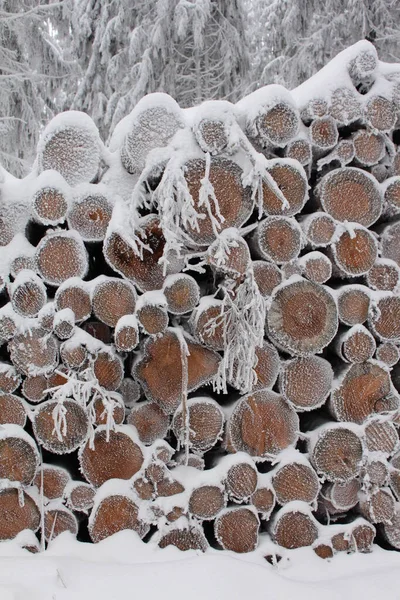 Primer Plano Una Pila Conos Pino Cubiertos Nieve — Foto de Stock