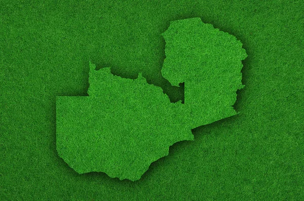 Grüne Grasstruktur Mit Natürlichem Muster — Stockfoto