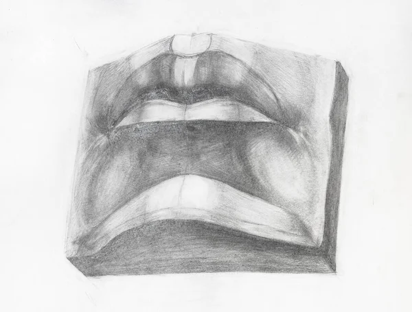 学术性绘画 男性嘴 用石墨笔手绘在白纸上的大卫面部石膏碎片 — 图库照片