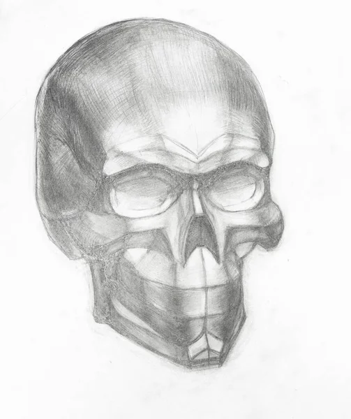 Desenho Acadêmico Gesso Moldado Crânio Humano Desenhado Mão Por Lápis — Fotografia de Stock