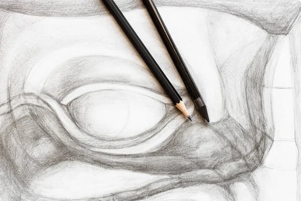 Two Various Graphite Pencils Hand Drawn Academic Drawing David Eye — Stock Photo, Image