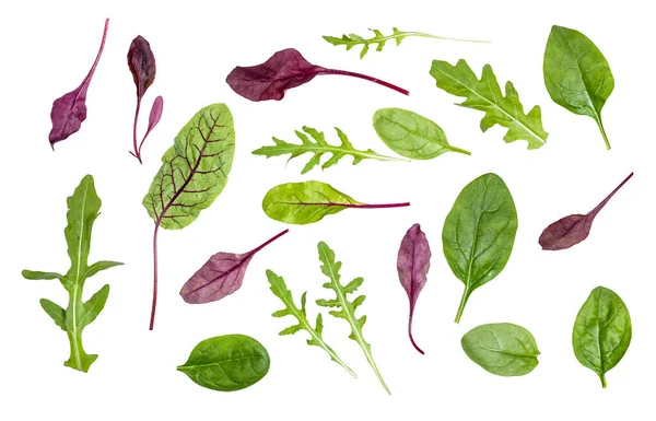 Viele Frische Blätter Verschiedener Blattgemüse Mangold Spinat Rucola Isoliert Auf — Stockfoto