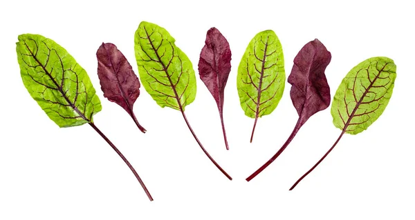 Feuilles Fraîches Rouges Vertes Légumes Feuilles Chard Mangue Dessus Betterave — Photo