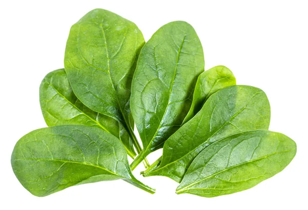 Verschillende Verse Groene Bladeren Van Spinazie Bladgroenten Geïsoleerd Witte Achtergrond — Stockfoto