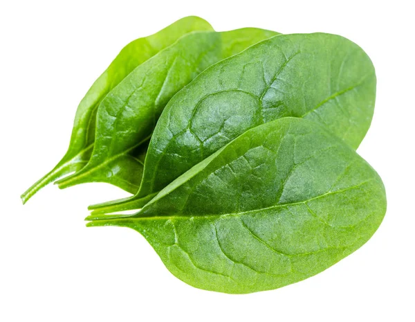 Few Fresh Green Leaves Spinach Leafy Vegetable Isolated White Background — Stock Photo, Image