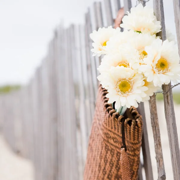 Close-up of flower basket hanging on a fence