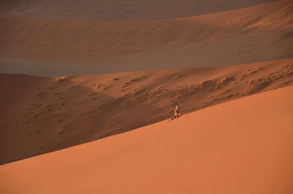 Kız Gruptan Kopuyor Kumda Tek Başına Oynamaktan Hoşlanıyor — Stok fotoğraf