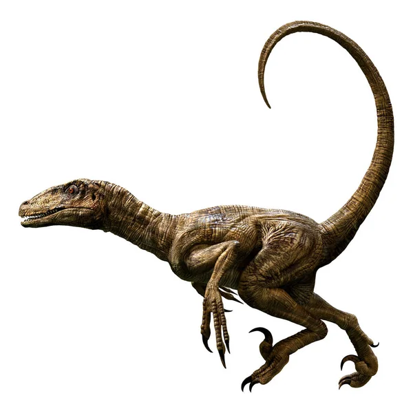 Renderowanie Dinozaura Białym Tle — Zdjęcie stockowe
