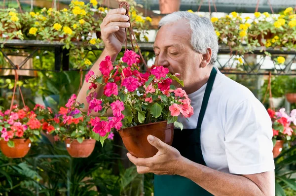 Hombre Mayor Con Flores Jardín — Foto de Stock