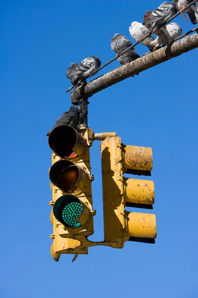 Semáforo Calle — Foto de Stock