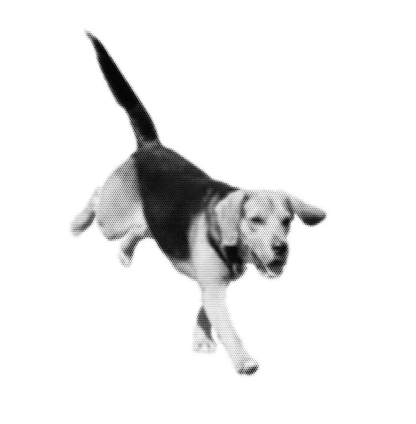 Biegnący Pies Odizolowany Białym Jak Czarny Biały Półton Abstrakcyjny Ilustracja — Zdjęcie stockowe