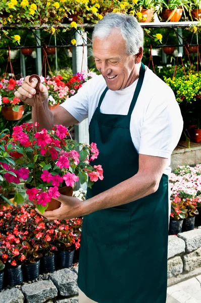 Senior Man Met Bloemen Tuin — Stockfoto