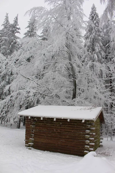Drewniany Dom Lesie — Zdjęcie stockowe