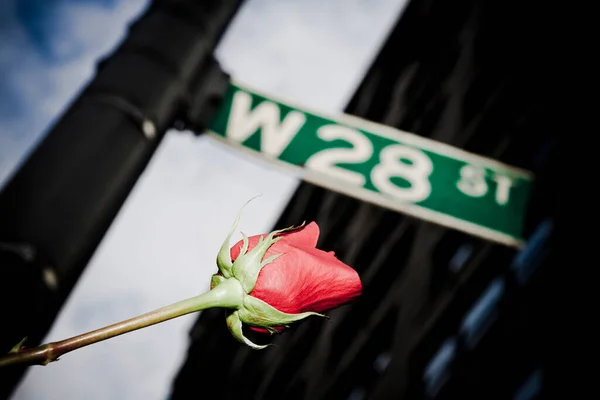 Rose Street Name Sign Pole Street New York City New — 图库照片