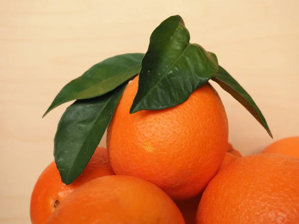 新鲜成熟的橘子 叶背白色 — 图库照片