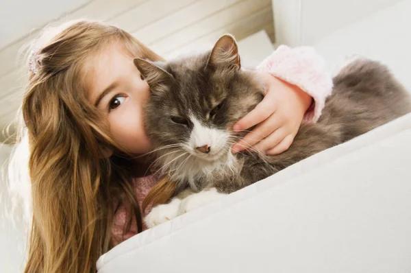 かわいいです女の子猫とベッドに横たわっ — ストック写真