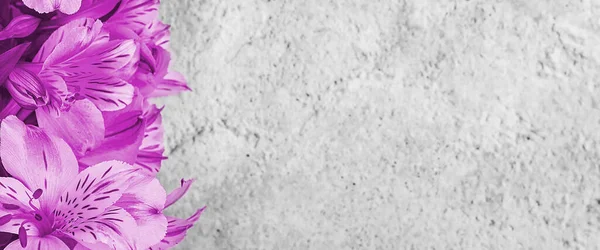 Rozkład Kartki Życzeniami Bukiet Pięknych Liliowych Storczyków Jasnym Tle Mocap — Zdjęcie stockowe