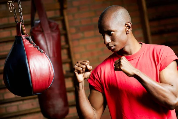 Young Man Training Boxing Gloves — Stock Photo, Image