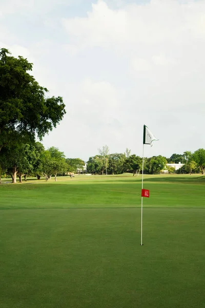 Pelota Golf Campo Hierba Verde — Foto de Stock