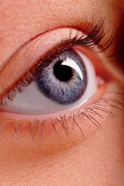 Close Van Een Vrouwelijk Oog Met Blauwe Ogen — Stockfoto