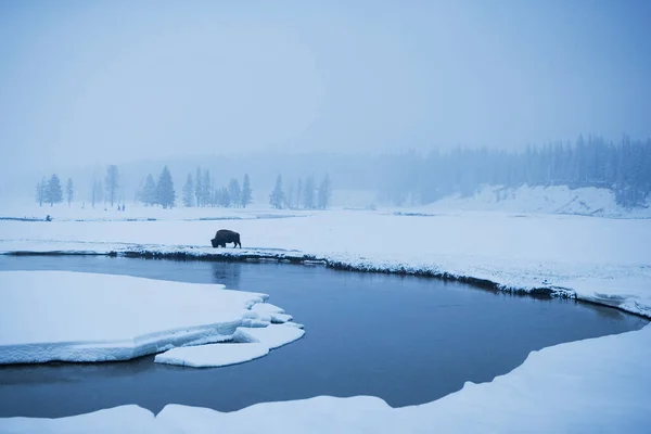 Beau Paysage Avec Une Rivière Lac Arrière Plan — Photo