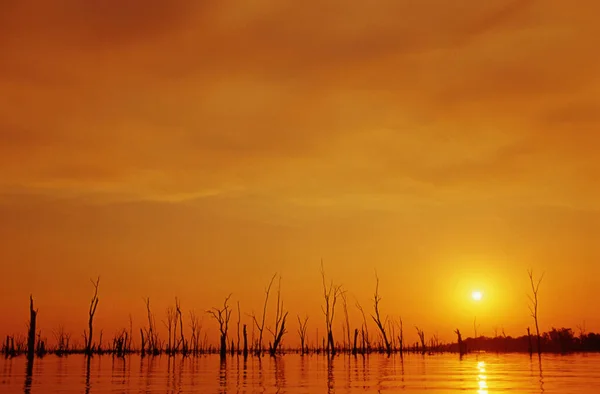 湖の上に美しい夕日 — ストック写真