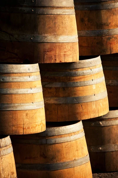 Wooden Barrel Wine Cellar — Stock Photo, Image