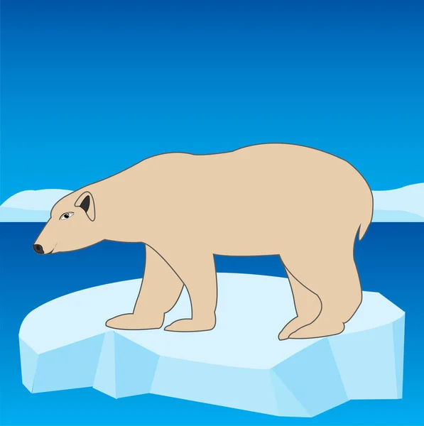 Niedźwiedź Polarny Niebieskim Tle — Zdjęcie stockowe