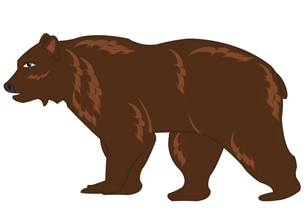 Ilustración Vectorial Del Oso — Foto de Stock