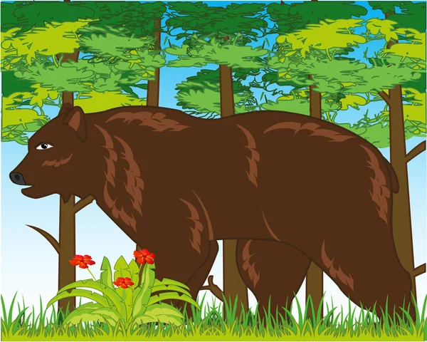 Egy Vaddisznó Illusztrációja Erdőben — Stock Fotó