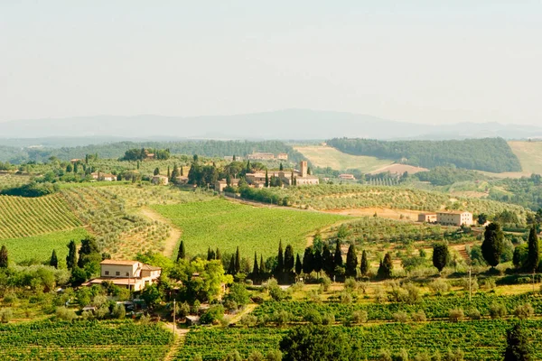 Belle Vue Sur Vignoble Toscane Italie — Photo