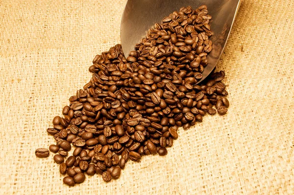 Coffee Beans Burlap Background — Stock Photo, Image