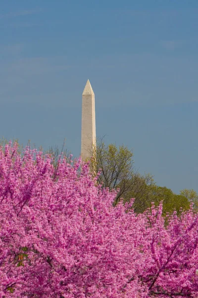 2019年3月8日 美国华盛顿特区 美国国家公园的纪念碑 — 图库照片