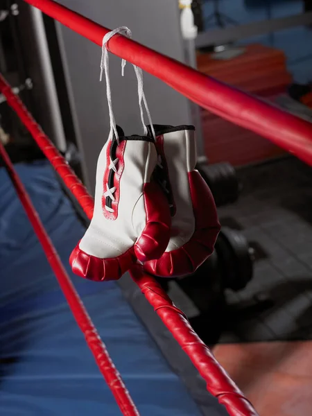 Guantes Boxeo Rojos Una Cuerda —  Fotos de Stock