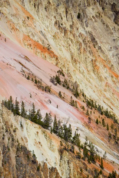 Büyük Kanyon Ulusal Parkı Nın Güzel Manzarası Utah Abd — Stok fotoğraf