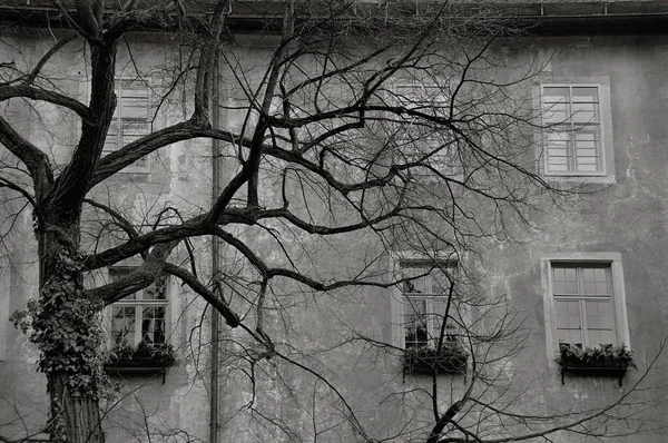 Viejo Edificio Abandonado Ciudad —  Fotos de Stock