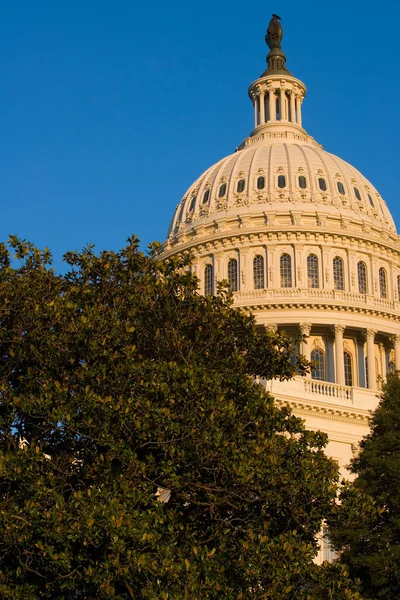 Campidoglio Washington — Foto Stock