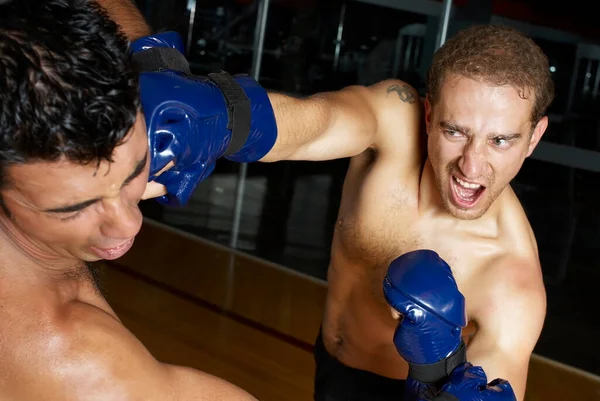 Young Man Woman Training Boxing Gloves Royalty Free Stock Images