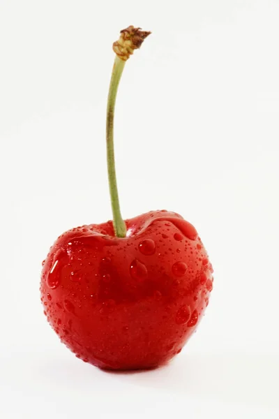 Cerezas Rojas Maduras Sobre Fondo Blanco — Foto de Stock