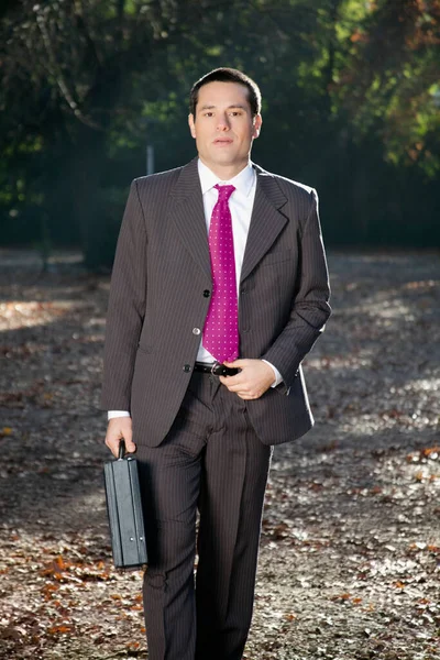 Young Businessman Briefcase Park — Stock Photo, Image
