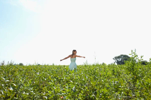 Jeune Femme Robe Blanche Avec Sac Blé Dans Champ — Photo